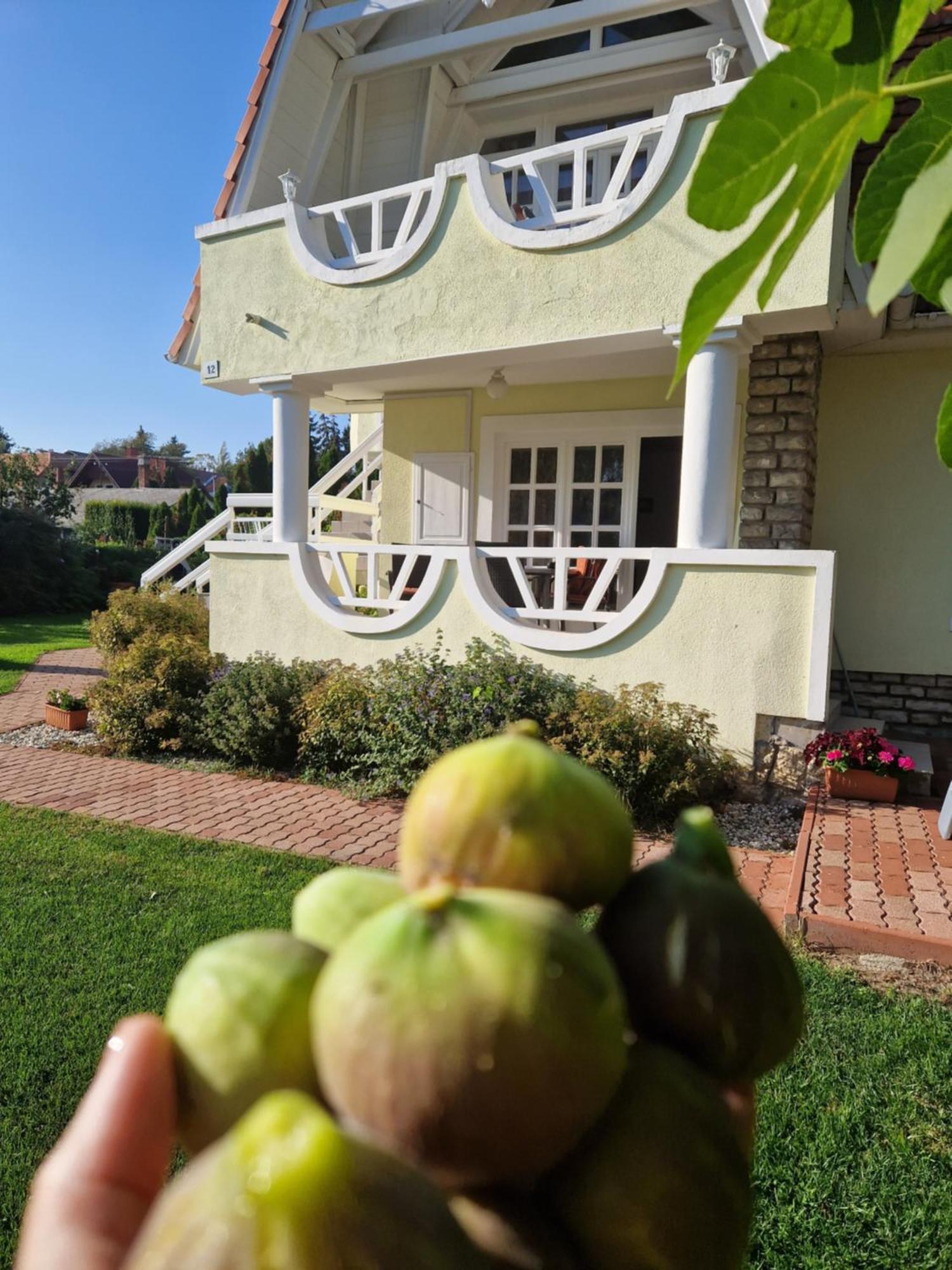 Appart hôtel Balaton Fuered Balatonfüred